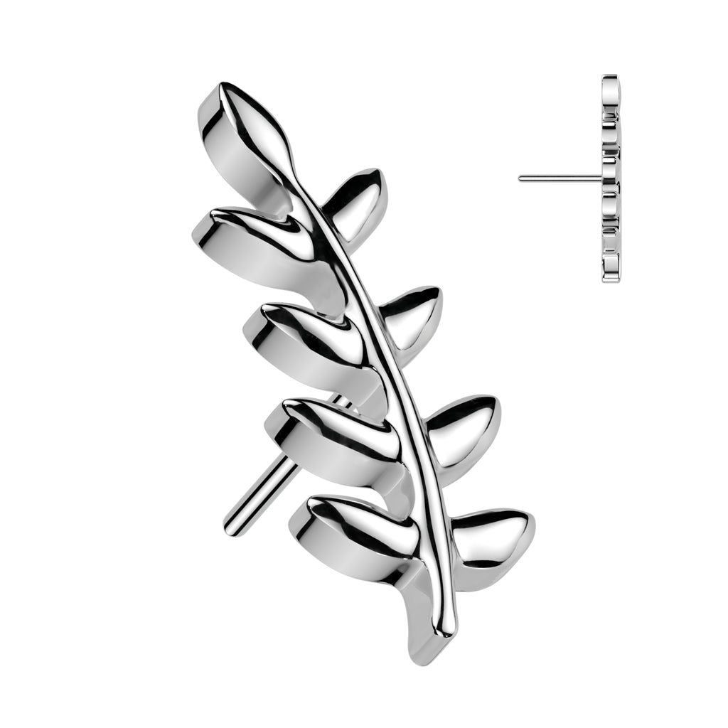 Olive Leaf T
