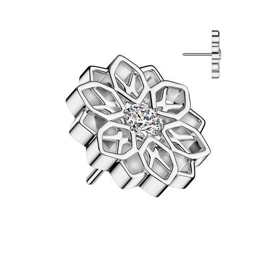 Lotus Flower