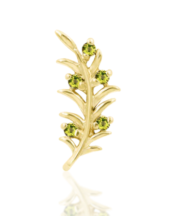 Olive Branch