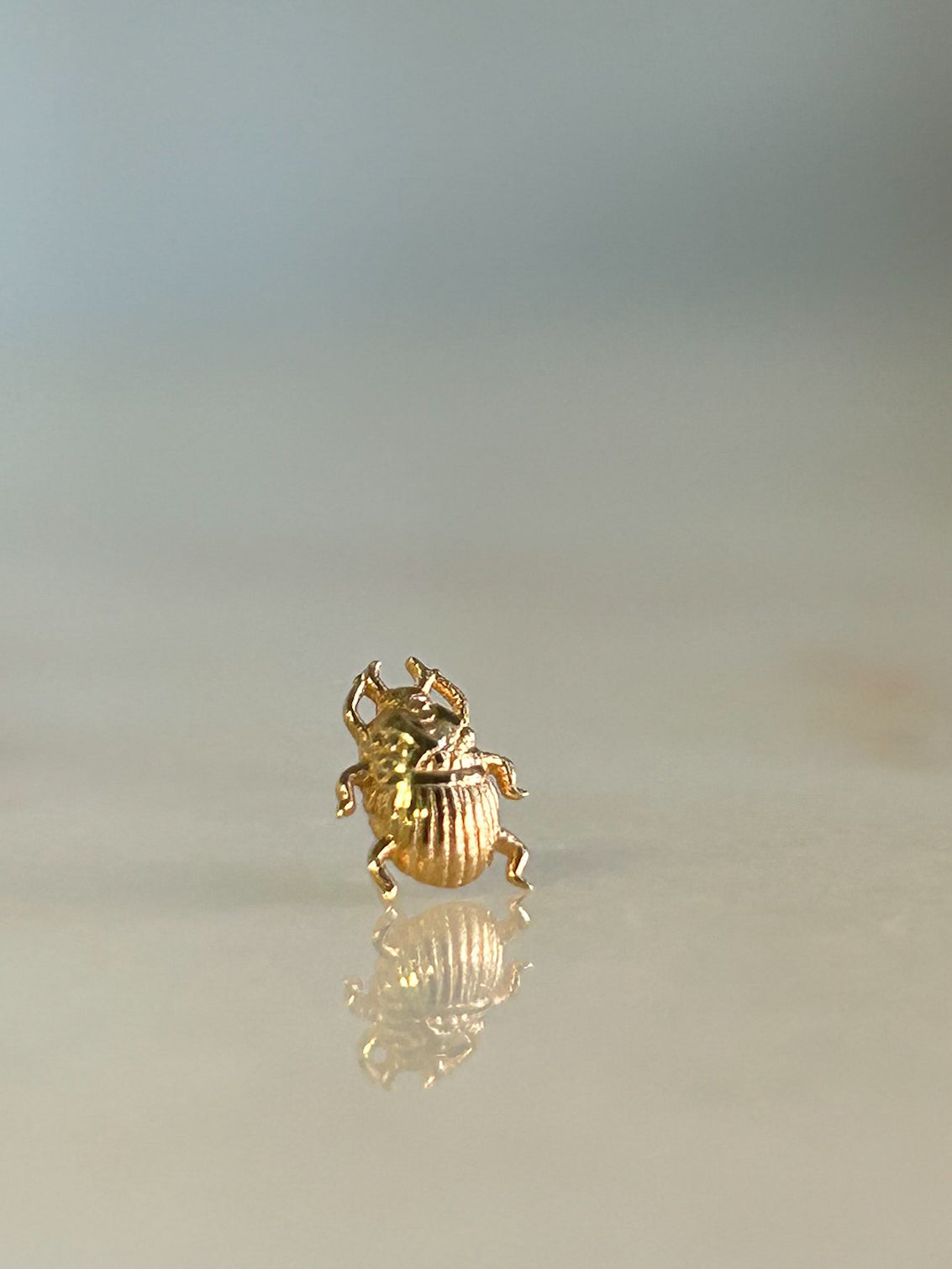 Scarab